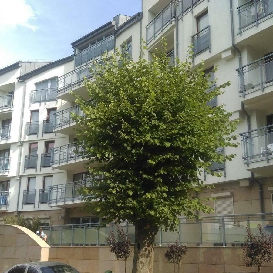 Apartament Flauta, Villa Marea Miedzyzdroje Exteriör bild